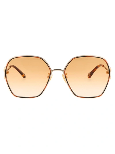 Chloé Chloe Orange Butterfly Ladies Sunglasses Ch0146s 002 58