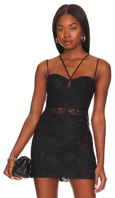 Lpa Madonna Lace Corset In Black