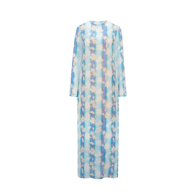 Nina Ricci Floral Long-sleeve Maxi Dress In Blau