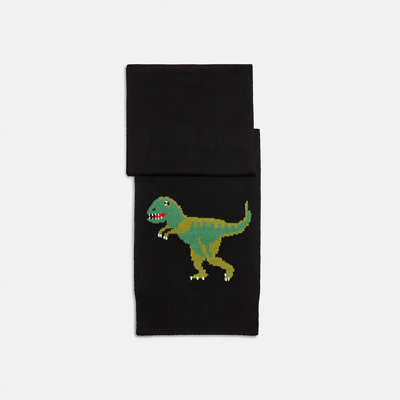 Coach Rexy Muffler In Black