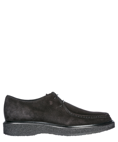 Tod's Oxford Shoes In Black