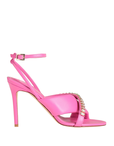 Circus Hotel Sandals In Pink