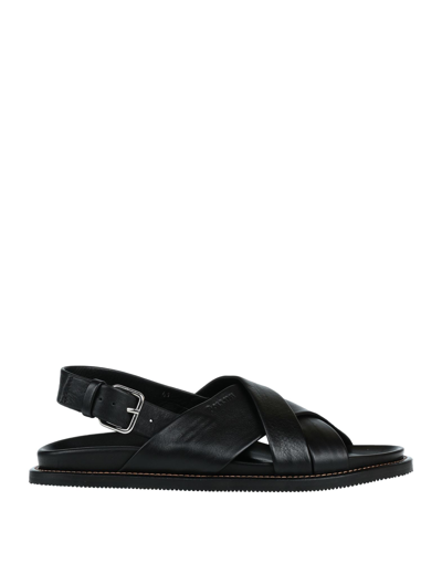 Pollini Sandals In Black