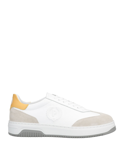 Pollini Sneakers In Grey