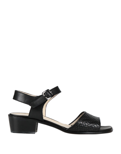 Renascentia Firenze Sandals In Black