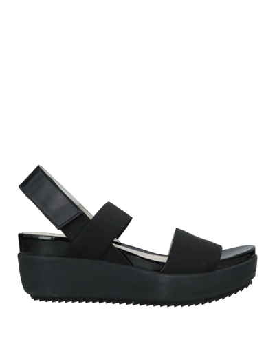 Stonefly Sandals In Black