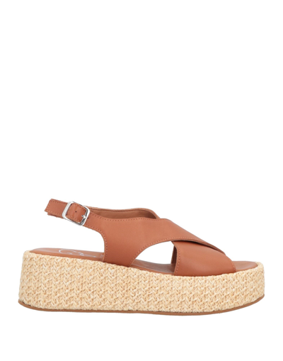 Oroscuro Espadrilles In Brown