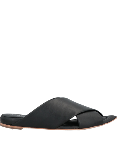 Eqüitare Sandals In Black