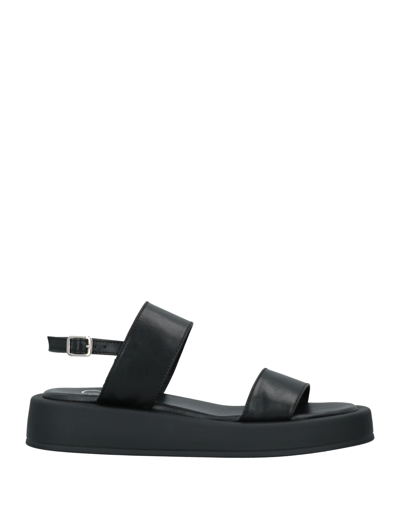 Oroscuro Sandals In Black