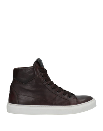 Grey Daniele Alessandrini Sneakers In Dark Brown