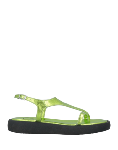 Oroscuro Toe Strap Sandals In Green