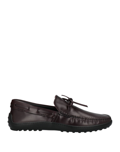 Tod's Loafers In Brown