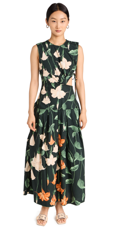 Agua By Agua Bendita Oto&nacute;o Floral Poplin Cutout-waist Midi Dress In Multi