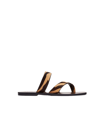 A.emery The Carter Sandal In Black