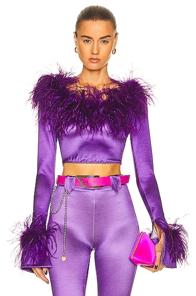 Raisa Vanessa Feather Corset Top In Purple