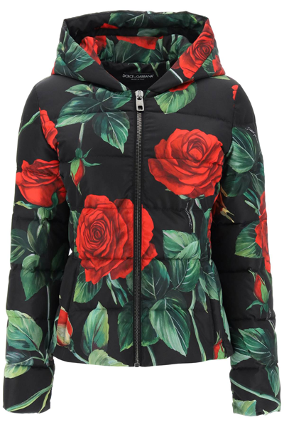 Dolce & Gabbana Multicolor Floral-print Short Down Jacket