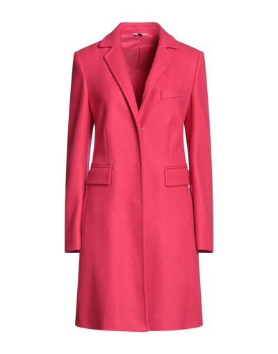 Liu •jo Coats In Pink