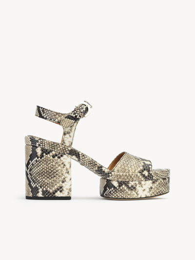 Chloé Odina Snake-effect Leather Platform Sandals In Multicolor