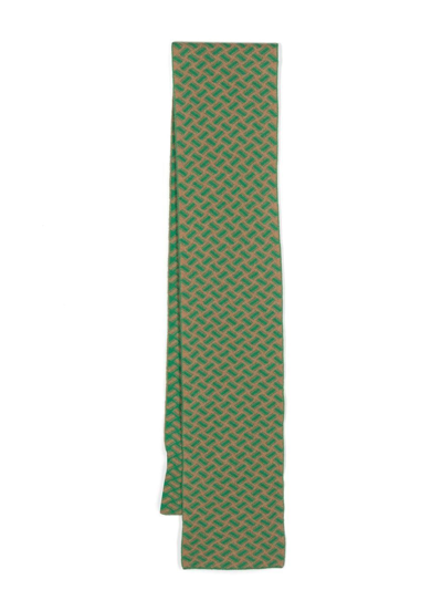 Drumohr Intarsia-knit Cashmere Scarf In Green
