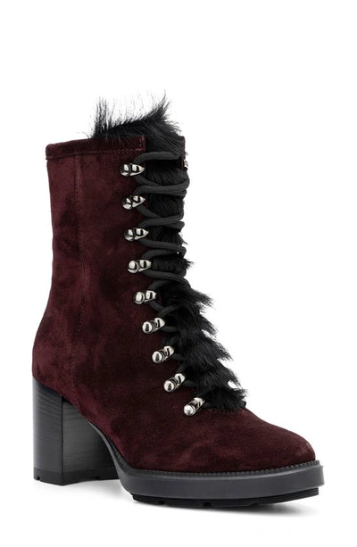 Aquatalia Irvina Suede Shearling Lace-up Booties In Black