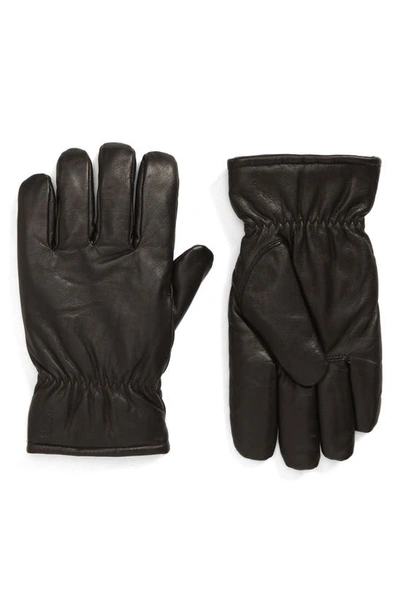 Carhartt Fonda Leather Gloves In Black