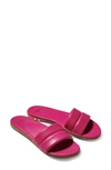 Beek Sugarbird In Fucshia