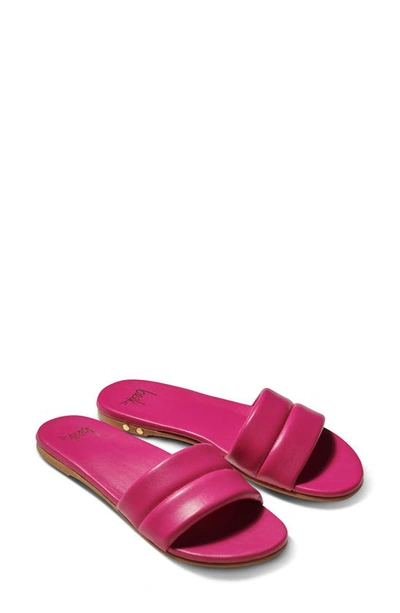 Beek Sugarbird In Fucshia