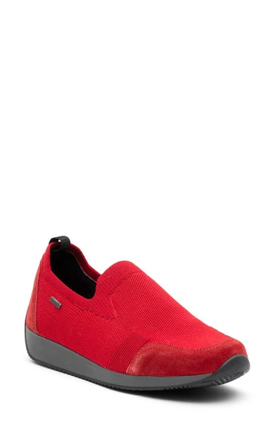Ara Lilith Sneaker In Red