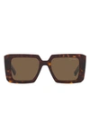 Prada Square Acetate Sunglasses In Tortoise