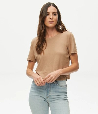 Michael Stars Blake Tee In Safari