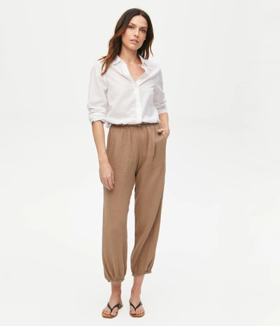 Michael Stars Elsa Gauze Jogger In Safari