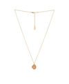 Charged Stone Locket Necklace In Rose Quartz