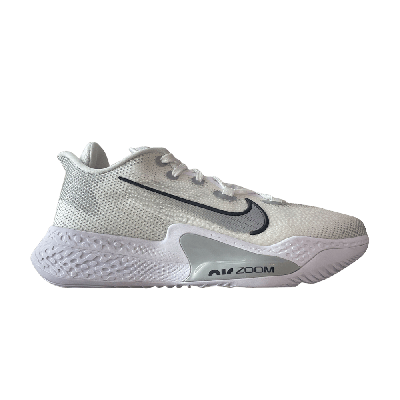 Pre-owned Nike Air Zoom Bb Nxt Tb 'flat Silver' In White