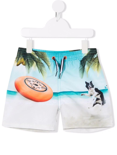 Molo Kids' Multicolor Swim-boxer For Baby Boy With Dog And Frisbee In Blue