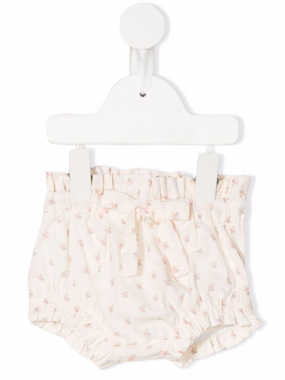 Tartine Et Chocolat Babies' Culotte With Flowers And Bow In Beige