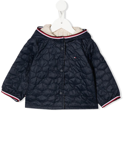 Tommy Hilfiger Junior Babies' 填充绗缝飞行员夹克 In Blu