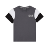 Ea7 T-shirt With Logo In Grigio