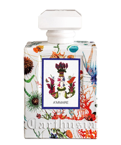 Carthusia I Profumi Di Capri A'mmare Eau De Parfum 100 ml In White