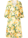 CARA CARA MARTINA BOTANICAL-PRINT DRESS