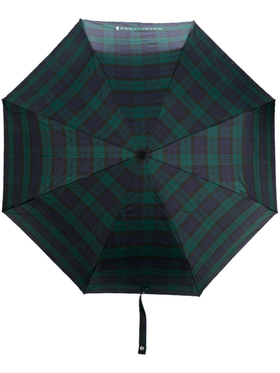 Mackintosh Ayr Gordon Automatic Telescopic Umbrella In Green