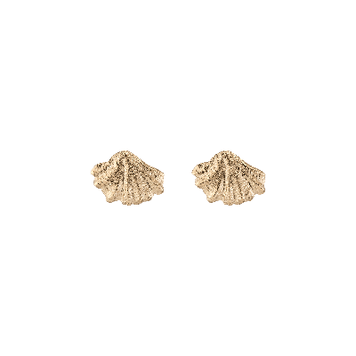 Aurate New York X Kerry: Venus Gold Stud Earrings In White