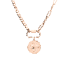 Aurate New York X Kerry: Lioness Pendant Necklace In Rose