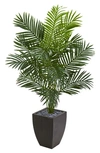 NEARLY NATURAL 5.5 FT. PARADISE ARTIFICIAL PALM TREE