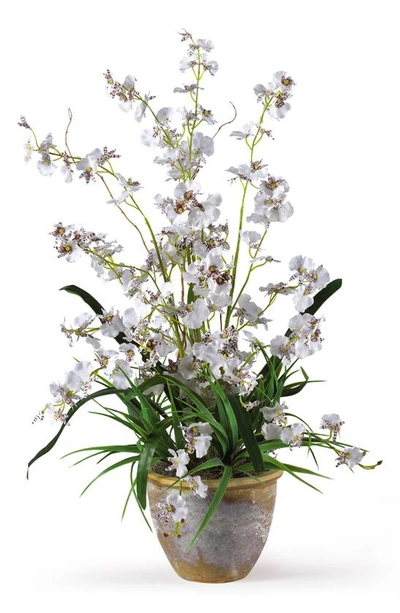 Nearly Natural Dancing Lady Silk Orchid Arrangement In Green