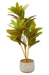 Ginger Birch Studio Green Faux Foliage Crotons Artificial Plant With Floral Patterned Pot In White