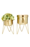 Cosmo By Cosmopolitan Geometric Plant Stand In Gold