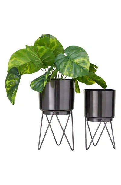 Cosmo By Cosmopolitan Standing Iron Planter In Black