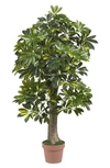 Nearly Natural 4ft Schefflera Silk Tree In Green
