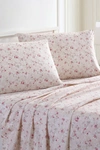 Modern Threads Printed 4-piece Sheet Set In Kashmir Rose