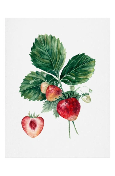 Deny Designs Anna Shell Strawberry Botanica Art Print In Multi